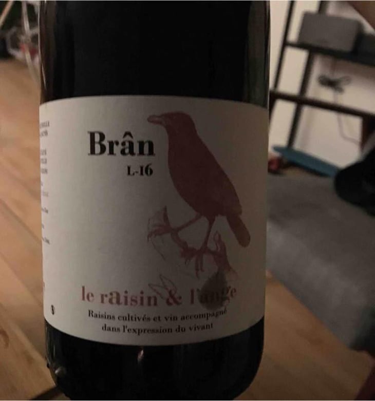 Frigoula - Le Raisin et l'Ange - Gilles & Antonin Azzoni 
