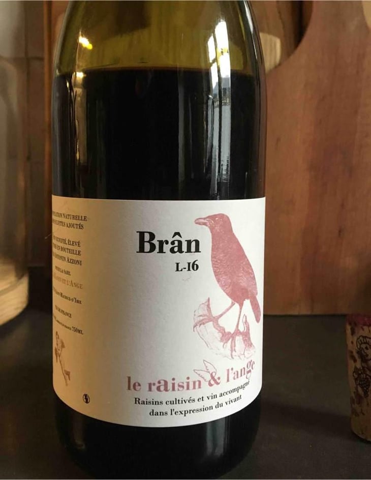 Frigoula - Le Raisin et l'Ange - Gilles & Antonin Azzoni 