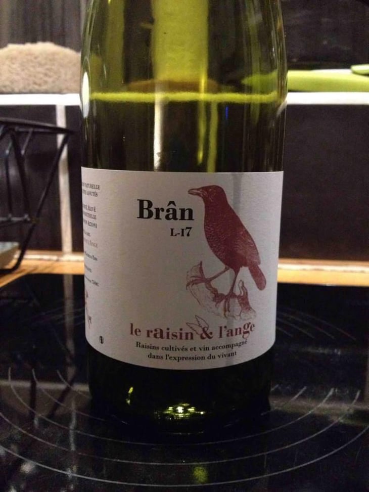 Frigoula - Le Raisin et l'Ange - Gilles & Antonin Azzoni 