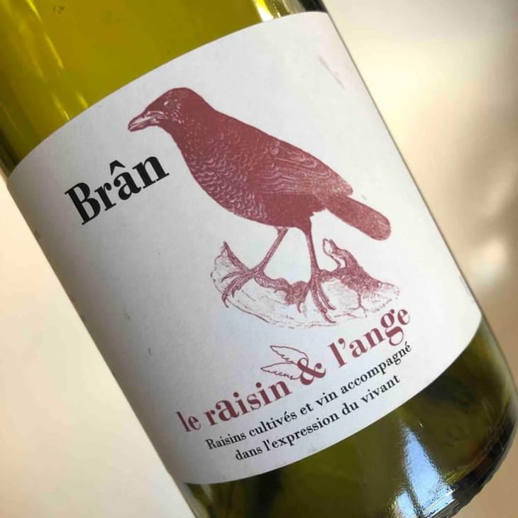Frigoula - Le Raisin et l'Ange - Gilles & Antonin Azzoni 