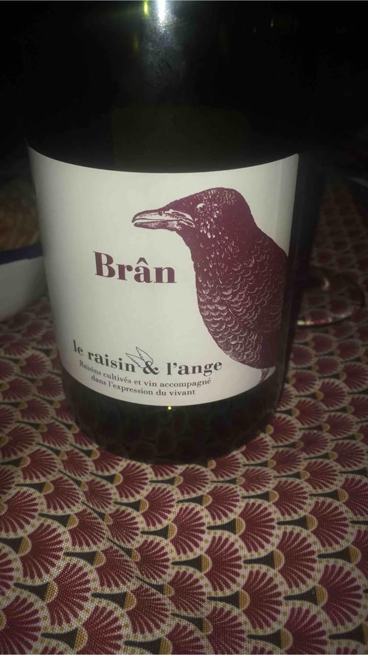 Frigoula - Le Raisin et l'Ange - Gilles & Antonin Azzoni 