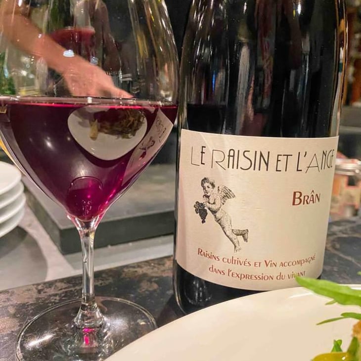 Frigoula - Le Raisin et l'Ange - Gilles & Antonin Azzoni 