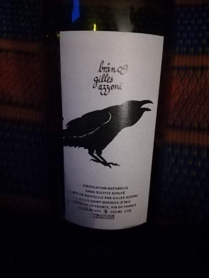 Frigoula - Le Raisin et l'Ange - Gilles & Antonin Azzoni 