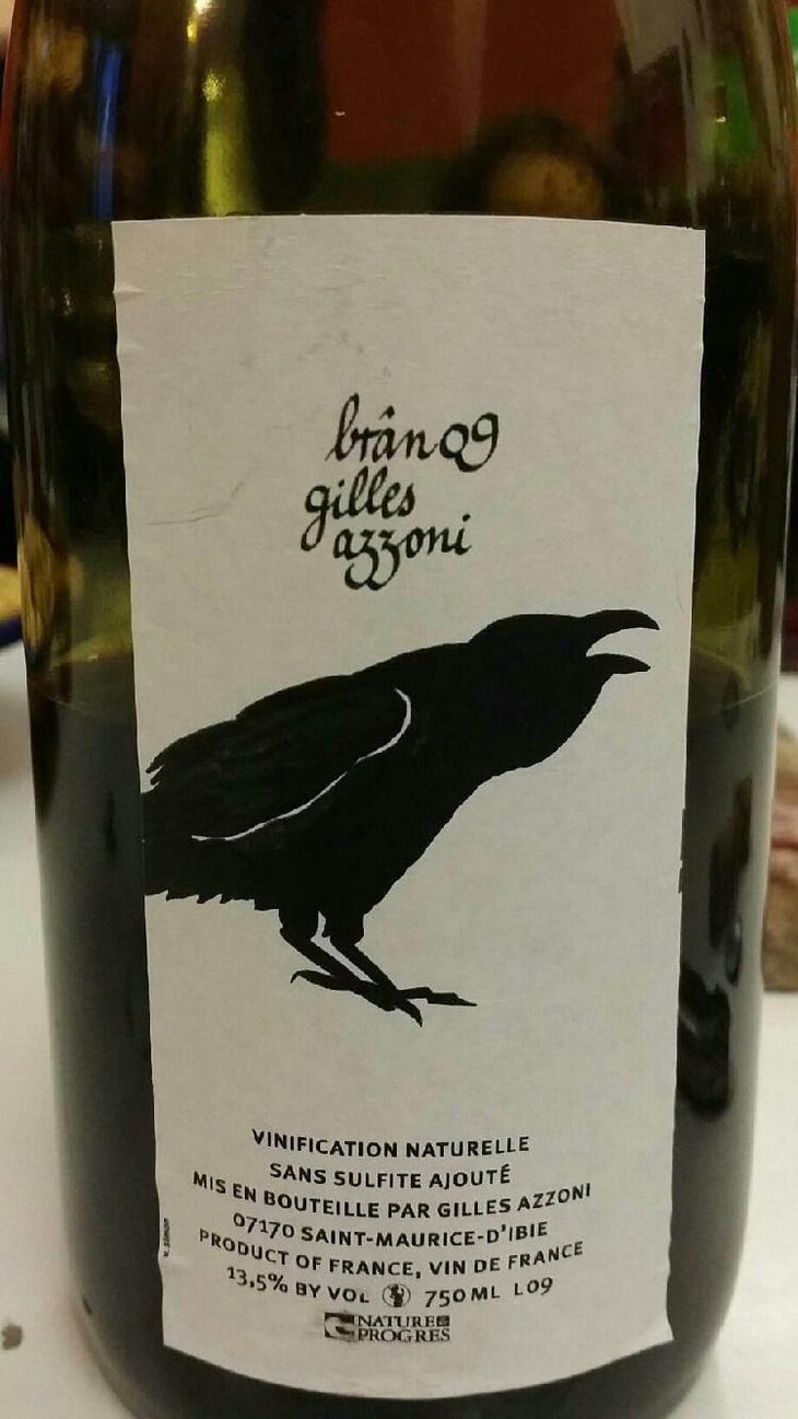 Frigoula - Le Raisin et l'Ange - Gilles & Antonin Azzoni 