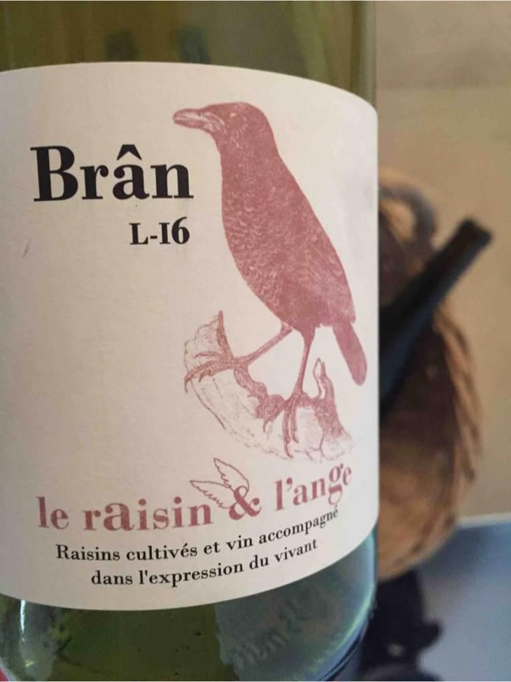 Frigoula - Le Raisin et l'Ange - Gilles & Antonin Azzoni 
