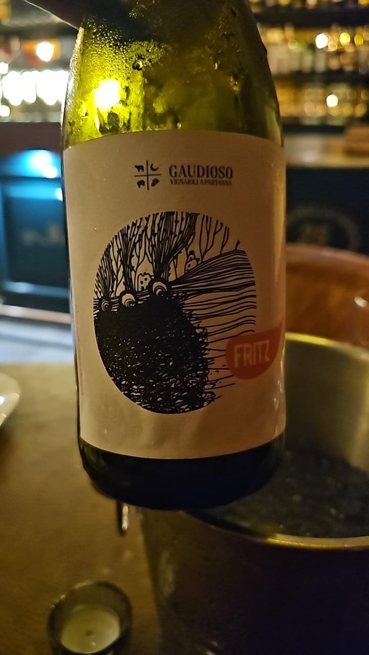 Fritz - Azienda Agricola Gaudioso - Antonio & Rosa Gaudioso 