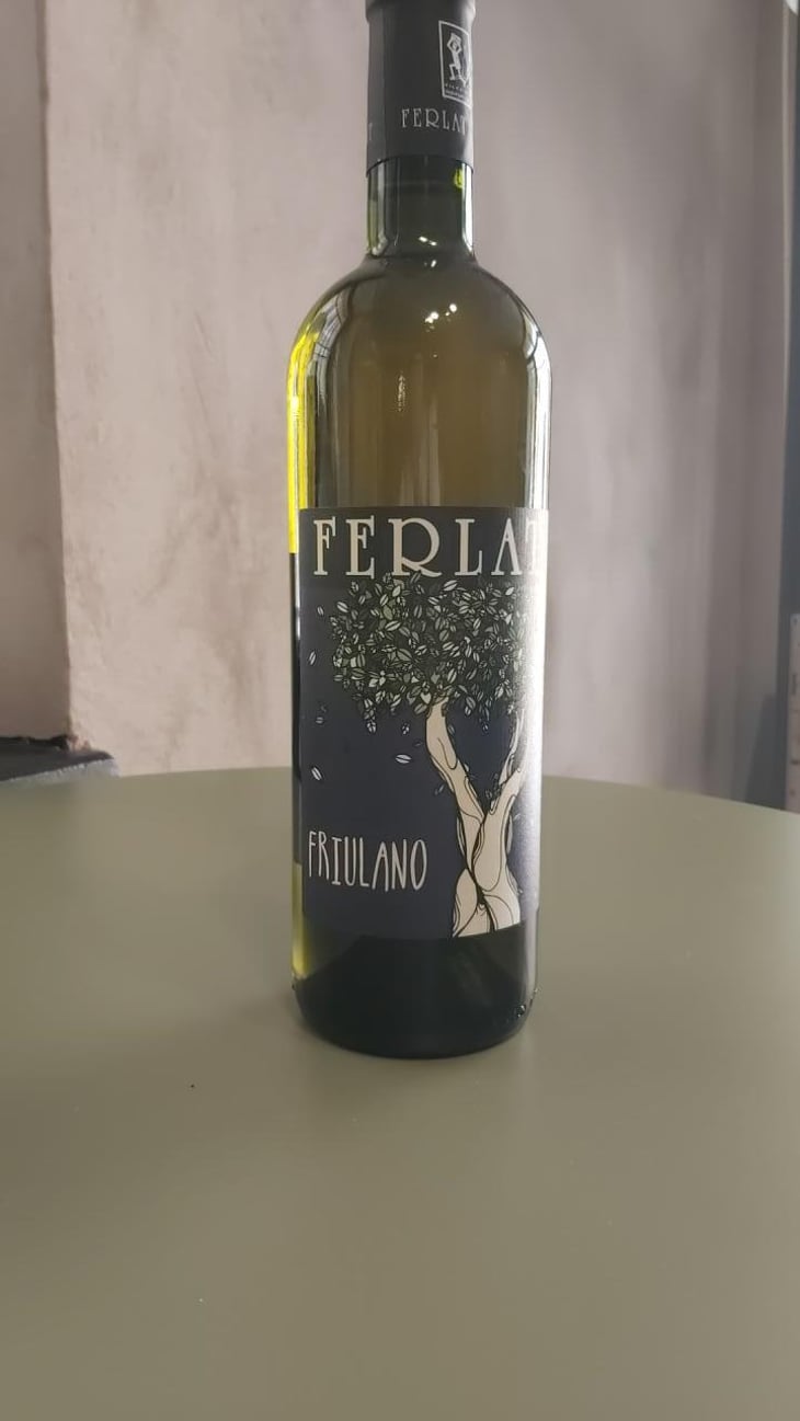 Friulano - Società Agricola Silvano Ferlat - Moreno Ferlat -2020