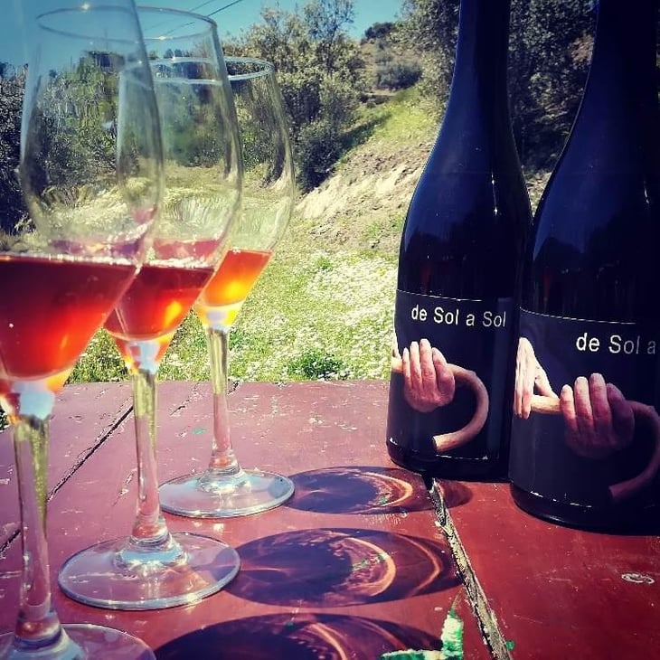 Tinto Velasco - Esencia Rural - Julián Ruiz 