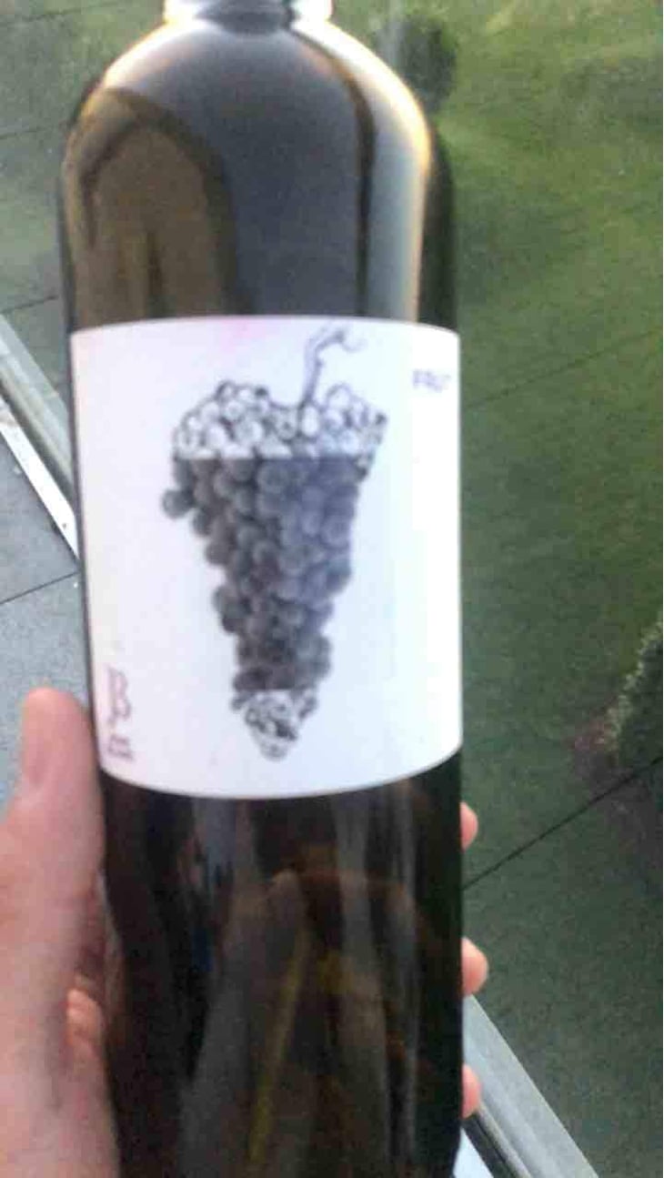 Fruit - Le Jonc Blanc - Isabelle Carles & Franck Pascal 