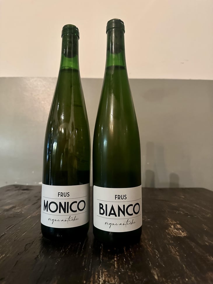 Frus Monico - Avanguardia - Luca Gargano & Fabio Luglio 