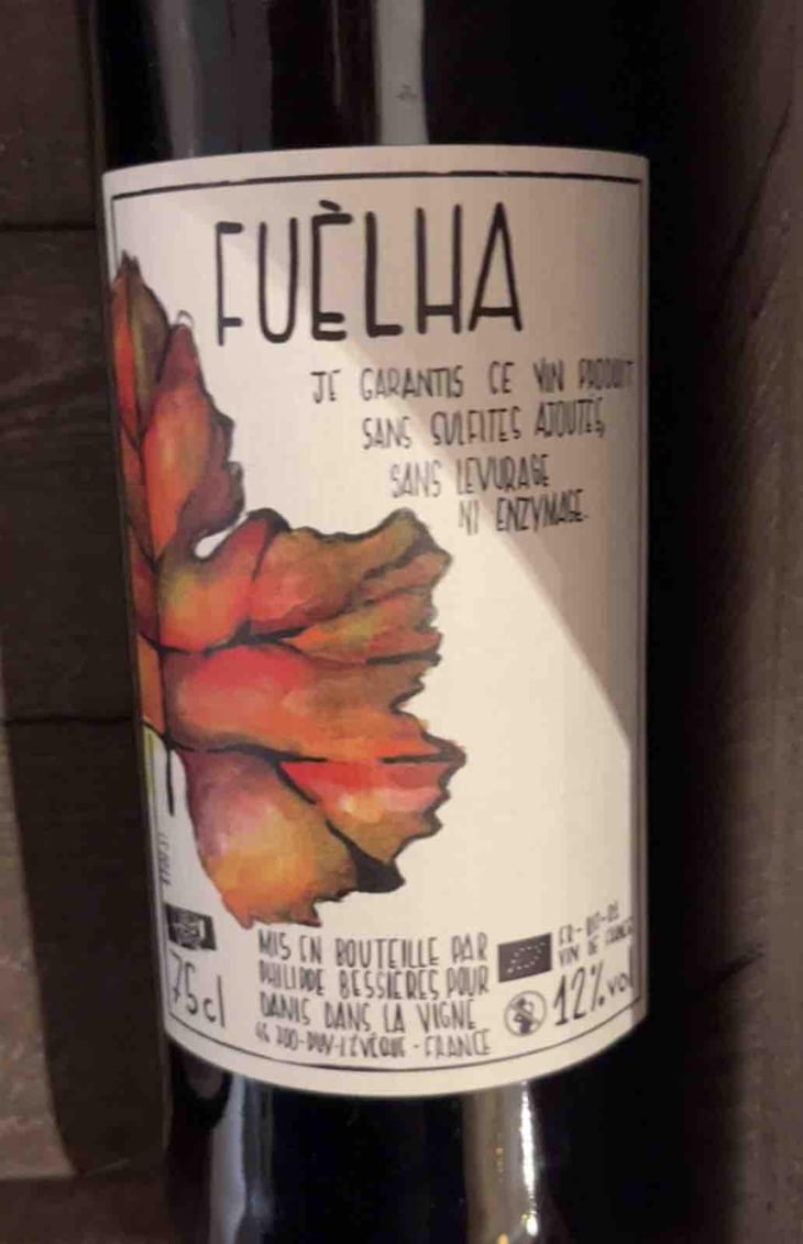 Fuèlhas - Danis Dans la Vigne - Danis Bessières -2018