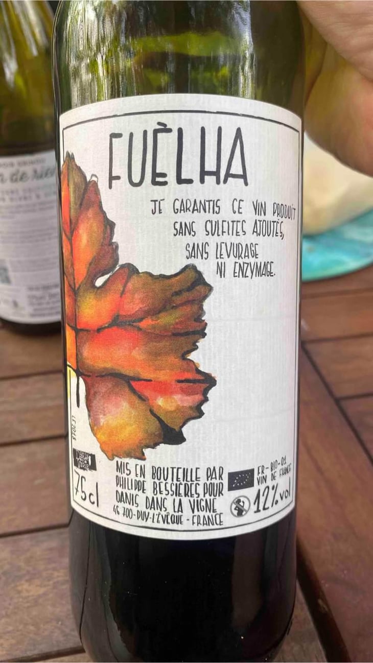 Fuèlhas - Danis Dans la Vigne - Danis Bessières -2018