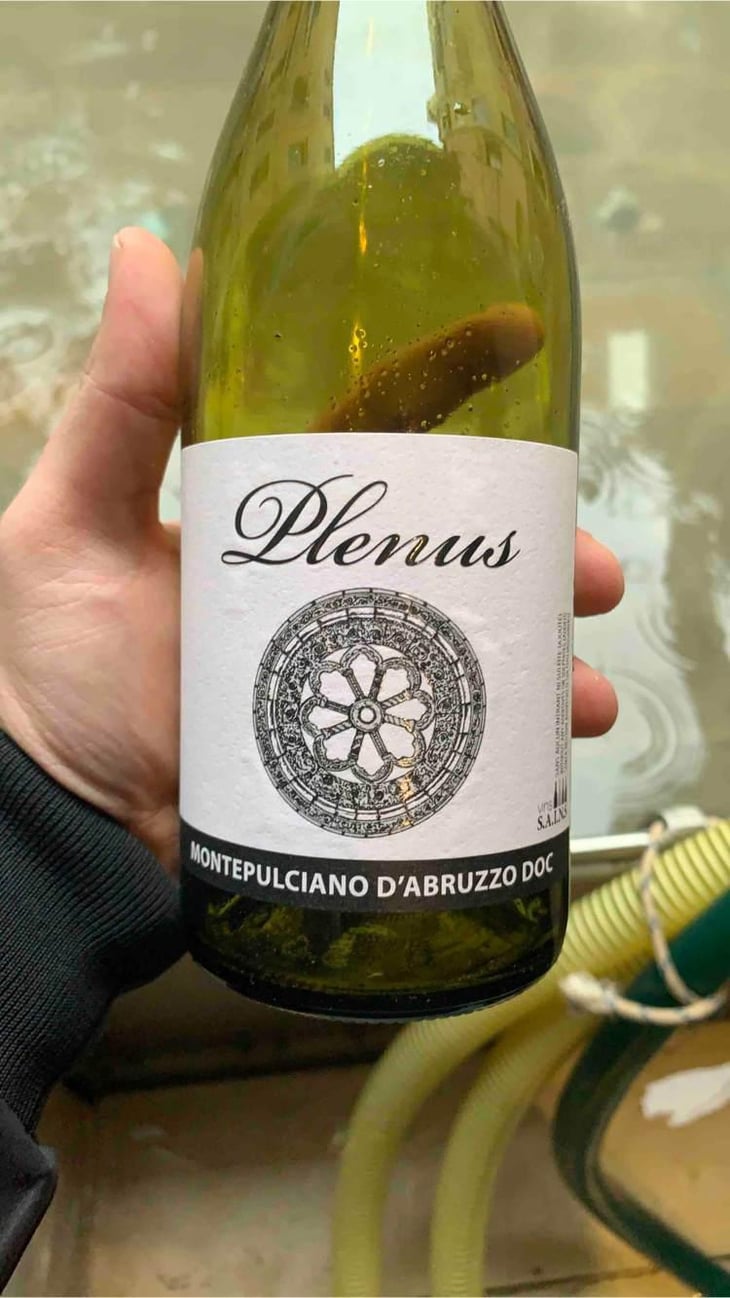 Plenus Montepulciano - Azienda Agricola Marina Palusci - Massimiliano d’Addario 