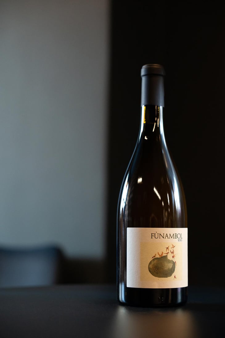 Funambol - Podere Sottoilnoce - Max Brondolo 