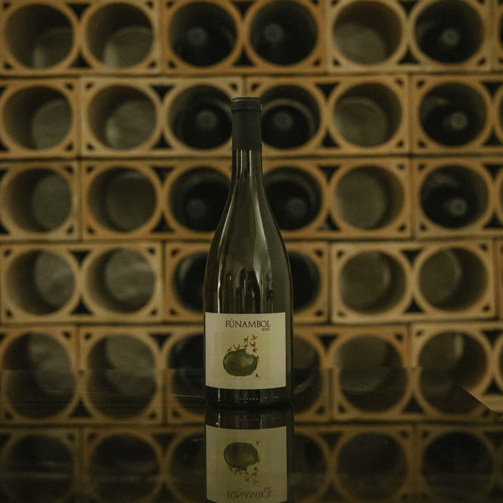 Funambol - Podere Sottoilnoce - Max Brondolo 
