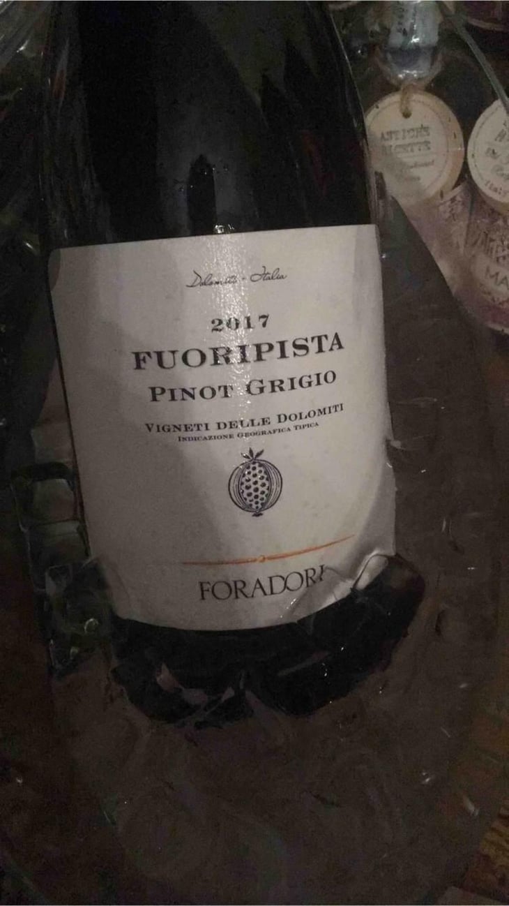 Fuoripista - Azienda Agricola Foradori - Elisabetta Foradori 