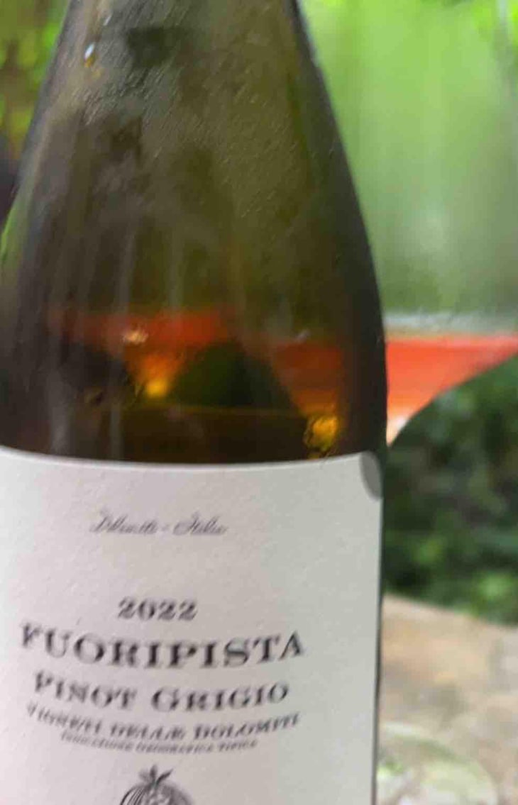 Fuoripista - Azienda Agricola Foradori - Elisabetta Foradori 