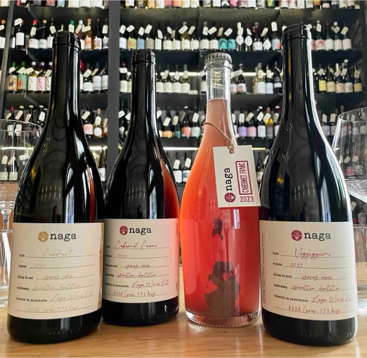 Furmint - Naga Wines - Antal Lepold and Bianka Borbély (Closed) -2022
