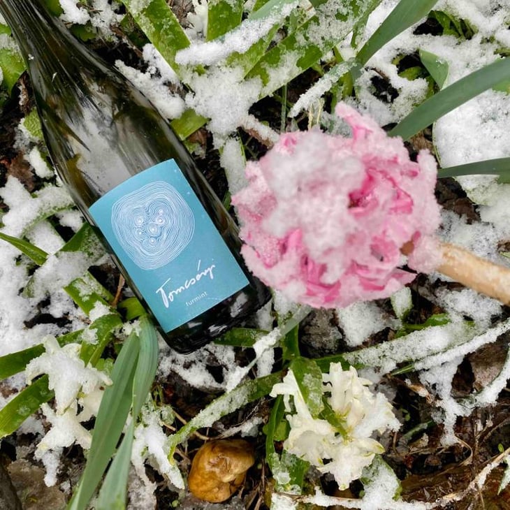 Furmint - Tomcsányi Családi Birtok - Tomcsányi Family -2019