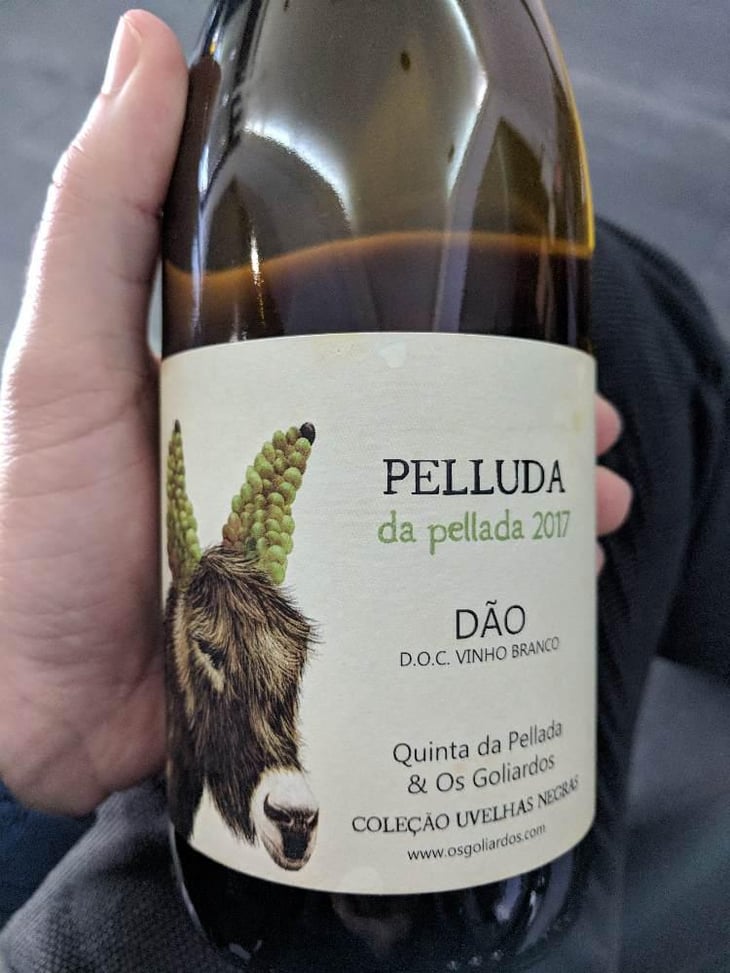 Pelluda - Quinta da Pellada | Quinta de Saes - Maria & Álvaro Castro 