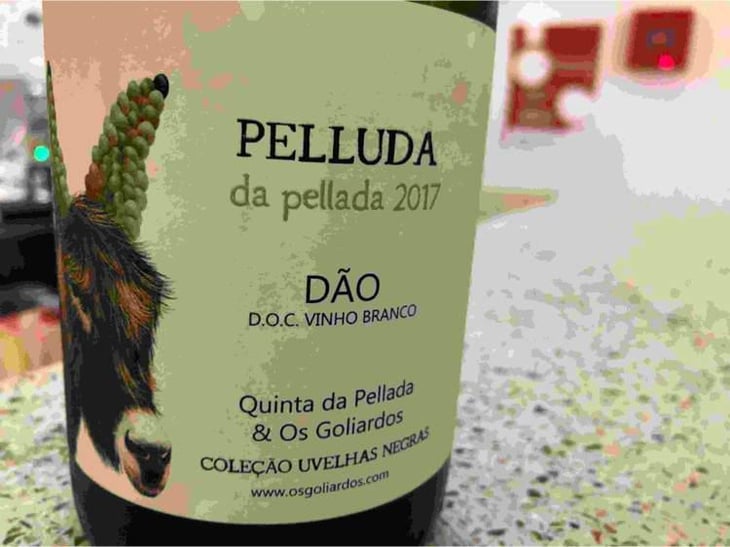 Pelluda - Quinta da Pellada | Quinta de Saes - Maria & Álvaro Castro 