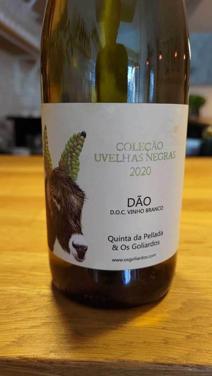 Pelluda - Quinta da Pellada | Quinta de Saes - Maria & Álvaro Castro 