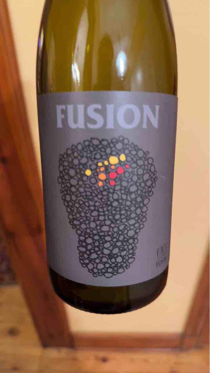 Fusion - No Control - Vincent Marie 