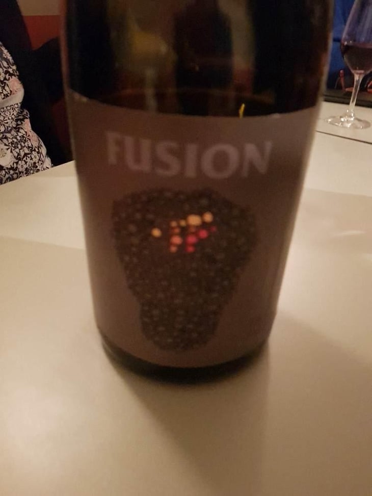Fusion - No Control - Vincent Marie 