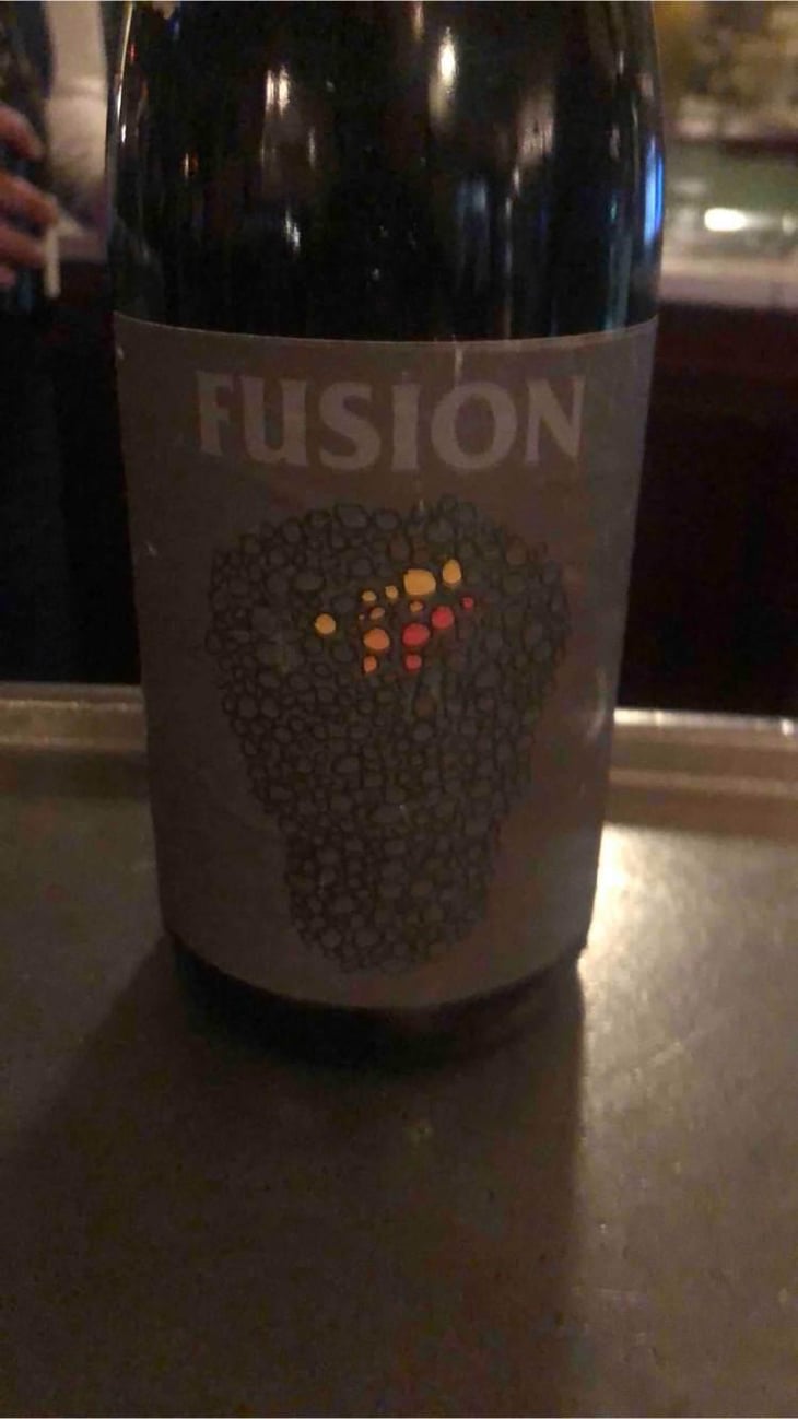 Fusion - No Control - Vincent Marie 