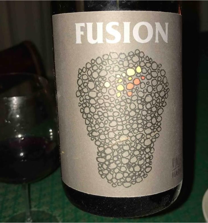 Fusion - No Control - Vincent Marie 