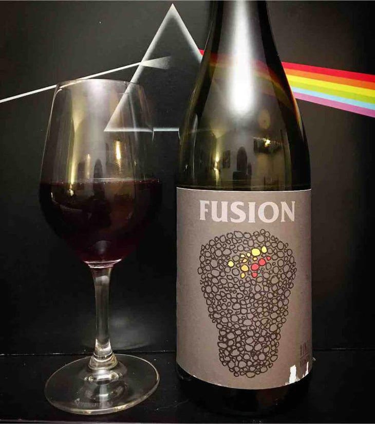 Fusion - No Control - Vincent Marie 