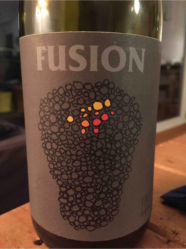 Fusion - No Control - Vincent Marie 