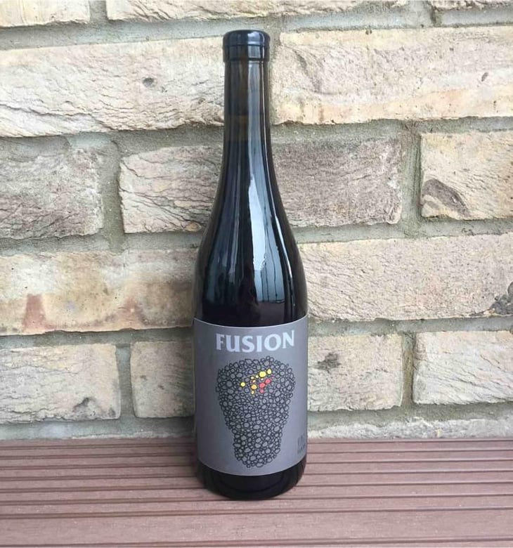 Fusion - No Control - Vincent Marie 