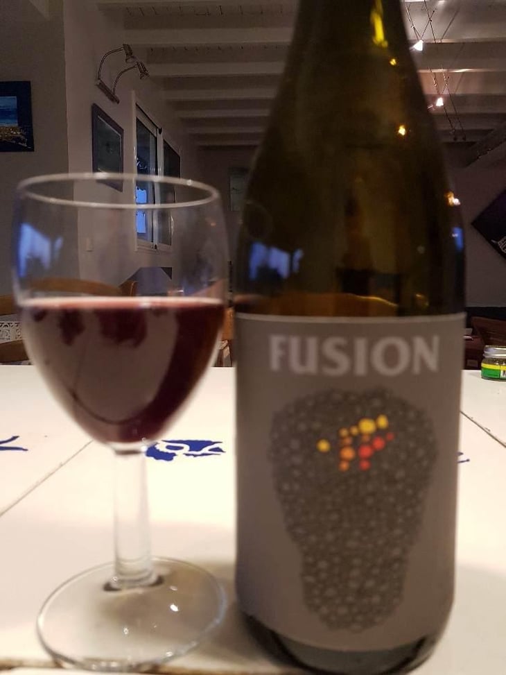 Fusion - No Control - Vincent Marie 