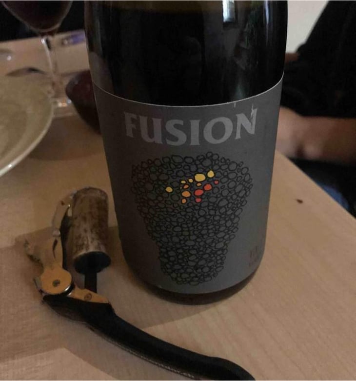 Fusion - No Control - Vincent Marie 