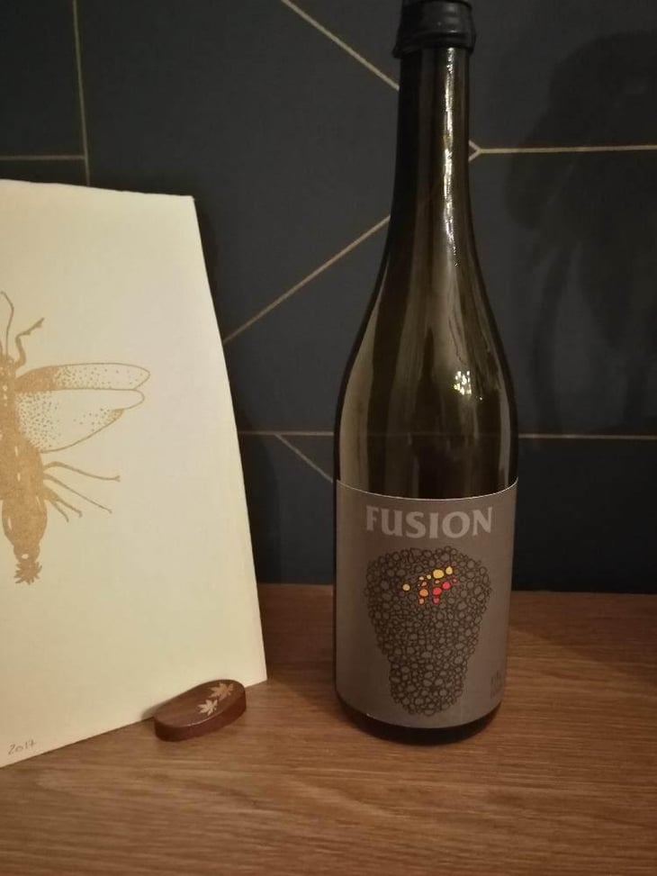 Fusion - No Control - Vincent Marie 