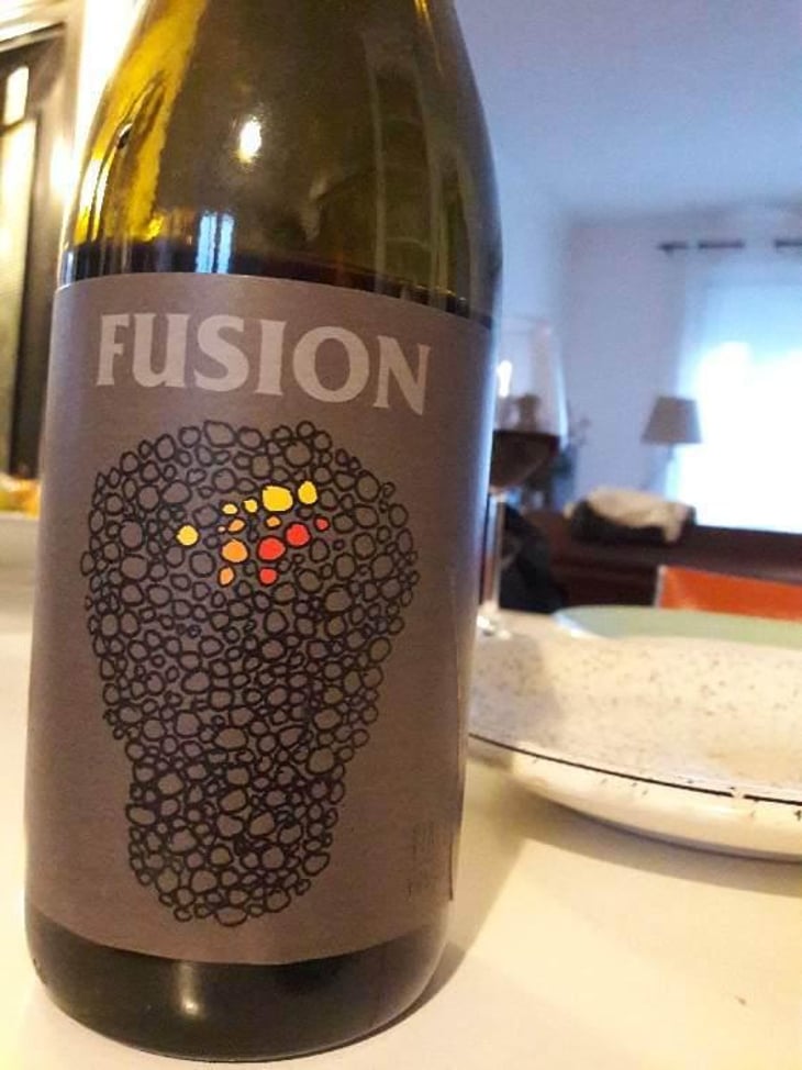 Fusion - No Control - Vincent Marie 