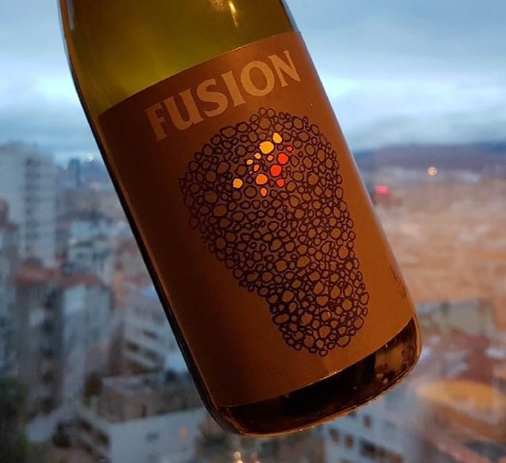 Fusion - No Control - Vincent Marie 