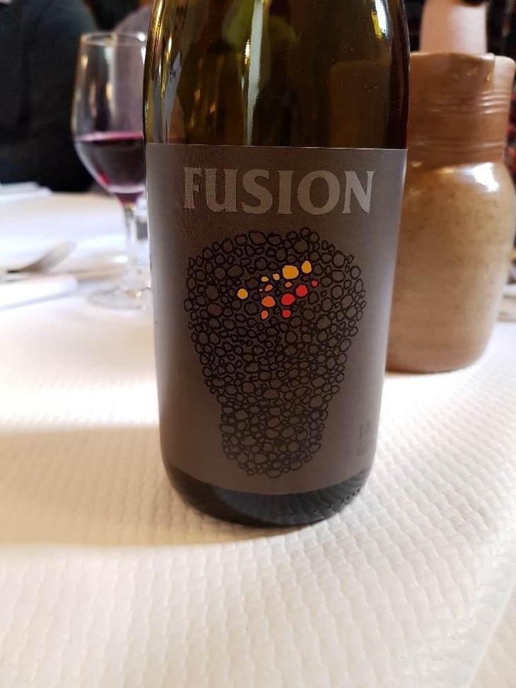 Fusion - No Control - Vincent Marie 