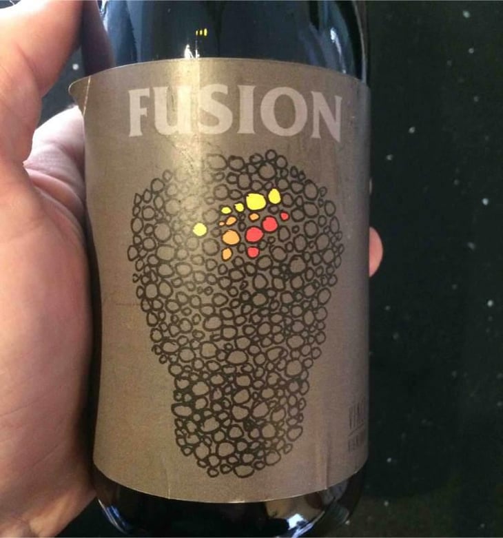 Fusion - No Control - Vincent Marie 