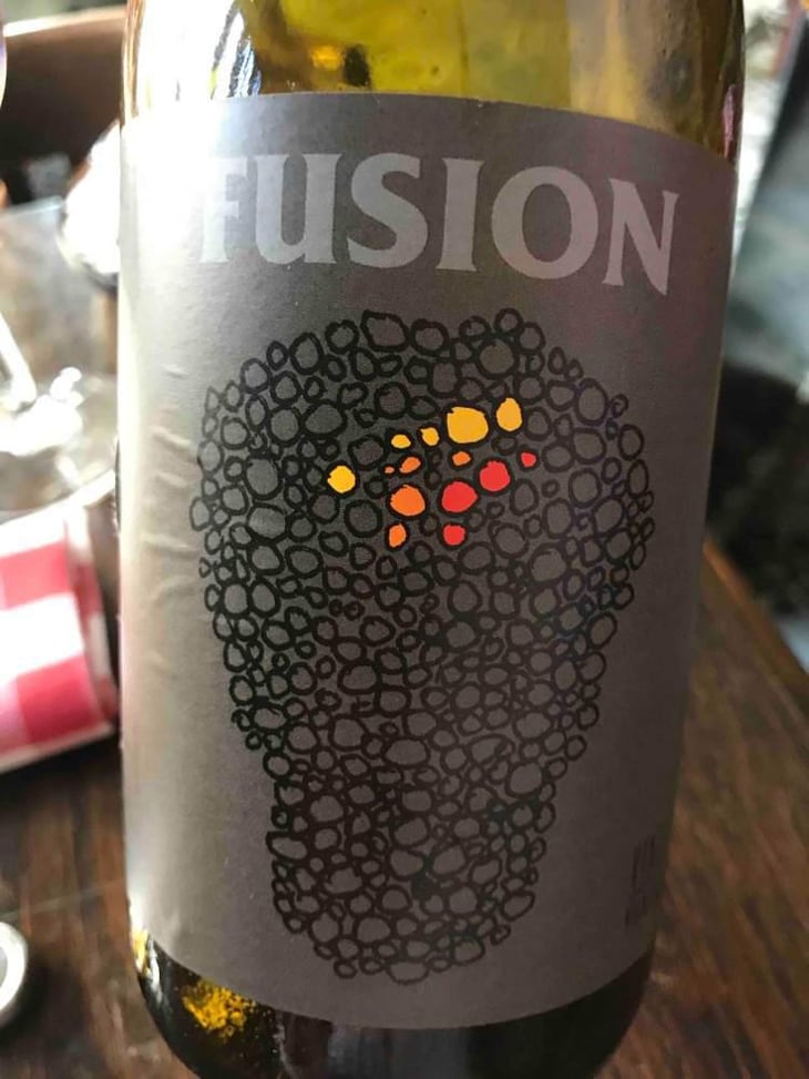 Fusion - No Control - Vincent Marie 
