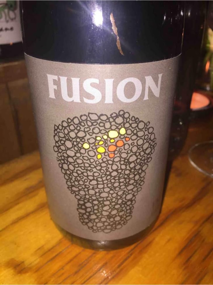 Fusion - No Control - Vincent Marie 