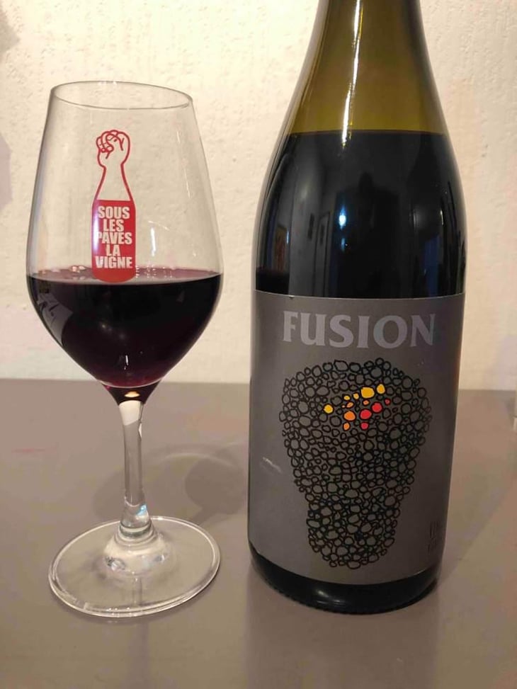 Fusion - No Control - Vincent Marie 