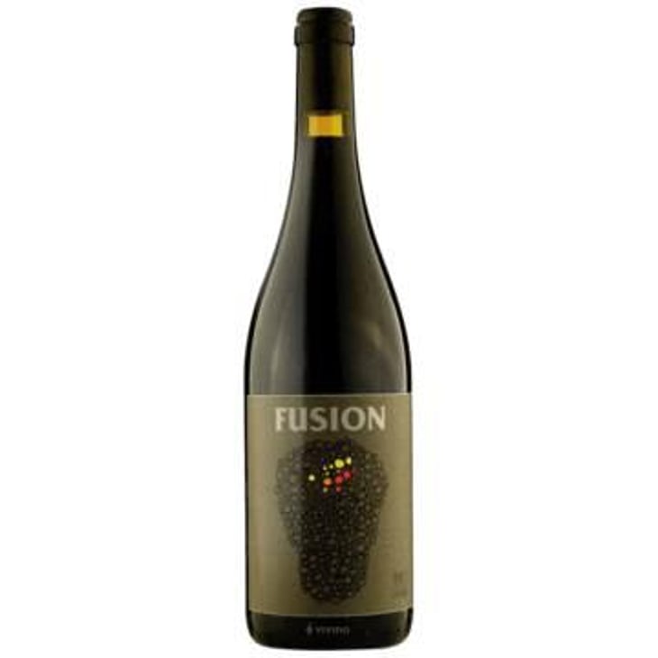 Fusion - No Control - Vincent Marie 
