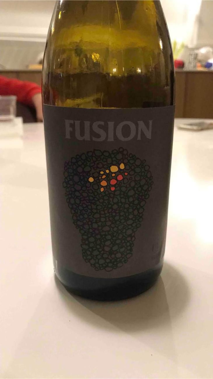 Fusion - No Control - Vincent Marie 