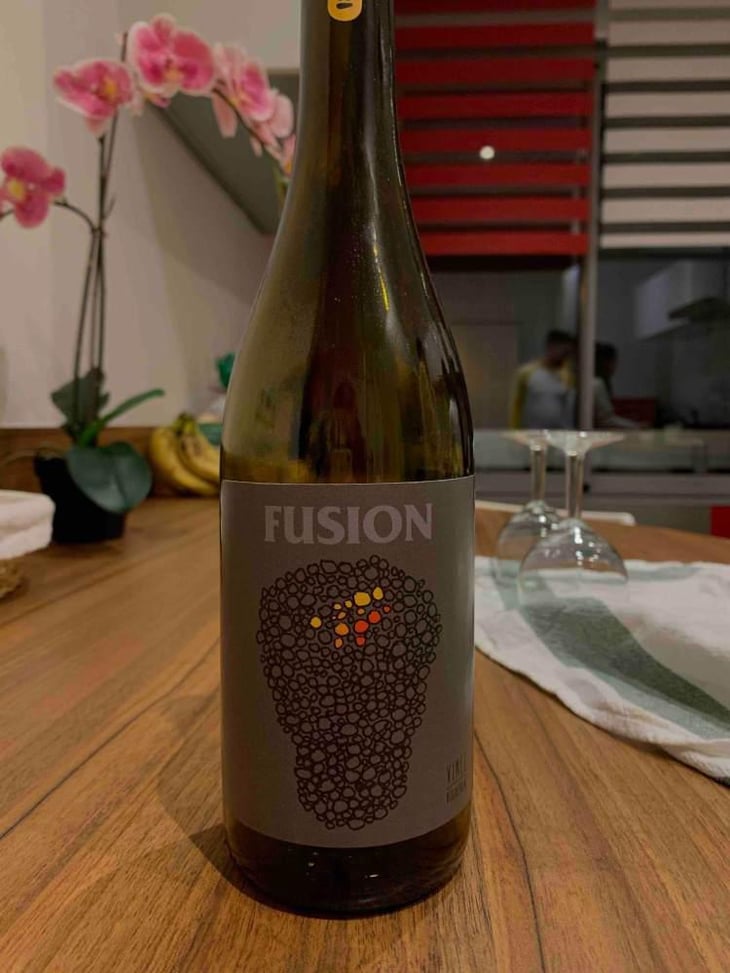 Fusion - No Control - Vincent Marie 