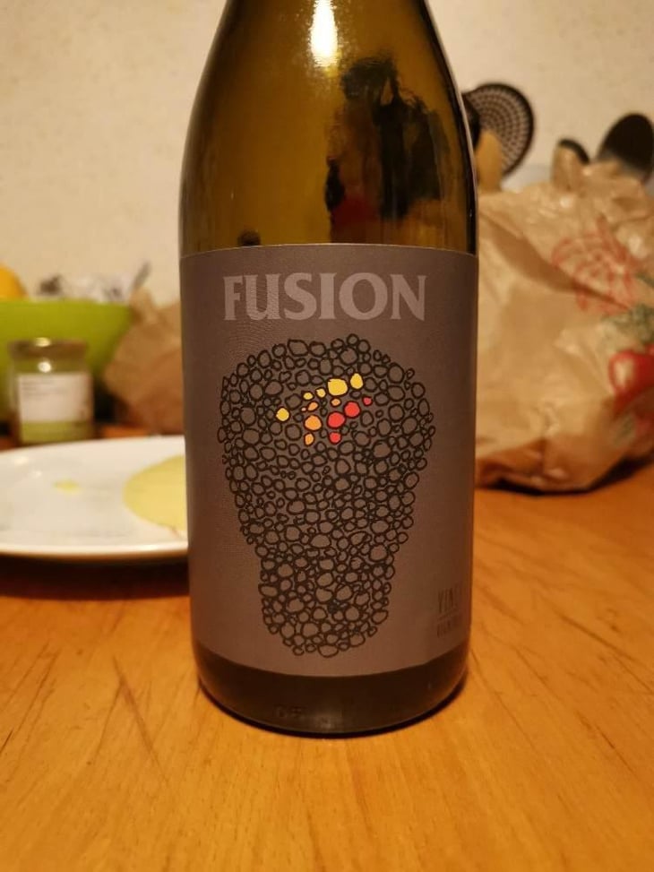 Fusion - No Control - Vincent Marie 