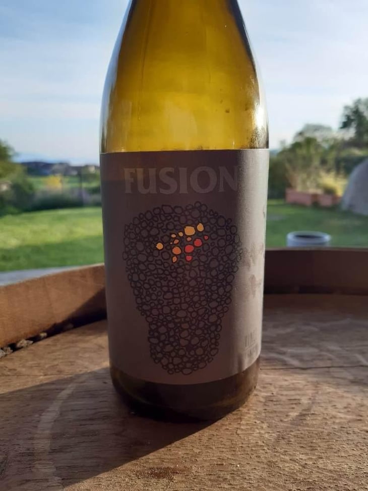 Fusion - No Control - Vincent Marie 