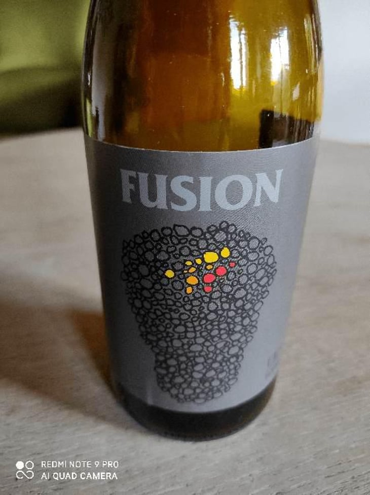 Fusion - No Control - Vincent Marie 