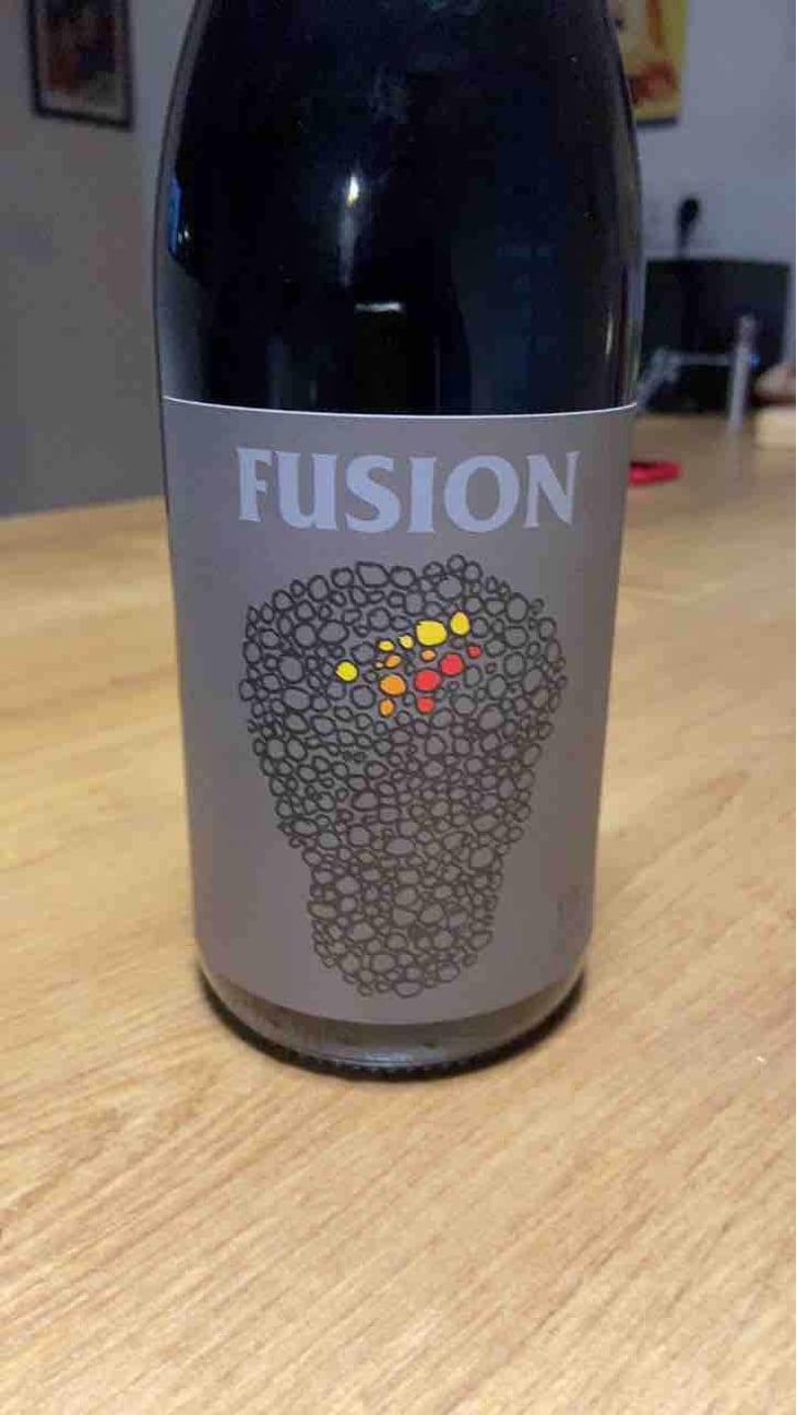 Fusion - No Control - Vincent Marie 